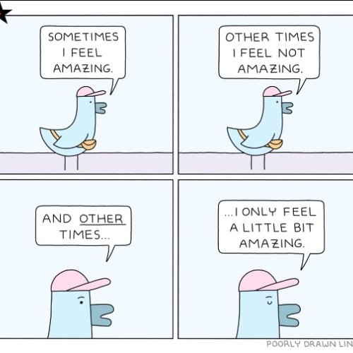 0dc0-sq