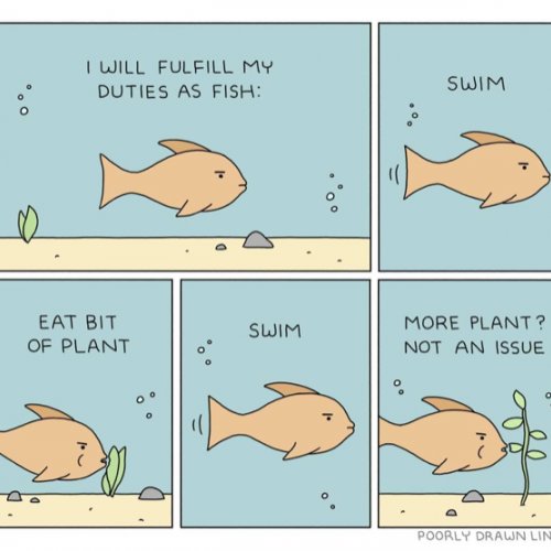 daily-life-sq